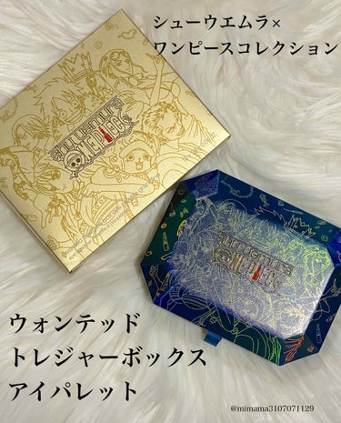 ウォンテッド トレジャーボックス アイパレット グランドライン/shu uemura/アイシャドウパレットを使ったクチコミ（1枚目）