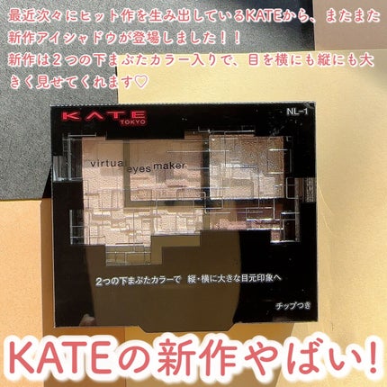 バーチャルアイズメイカー/KATE/アイシャドウパレットを使ったクチコミ(2枚目)