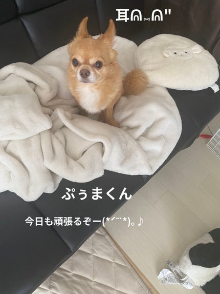 フェイブスボックス/FAVES BEAUTY/メイクアップキットを使ったクチコミ(7枚目)