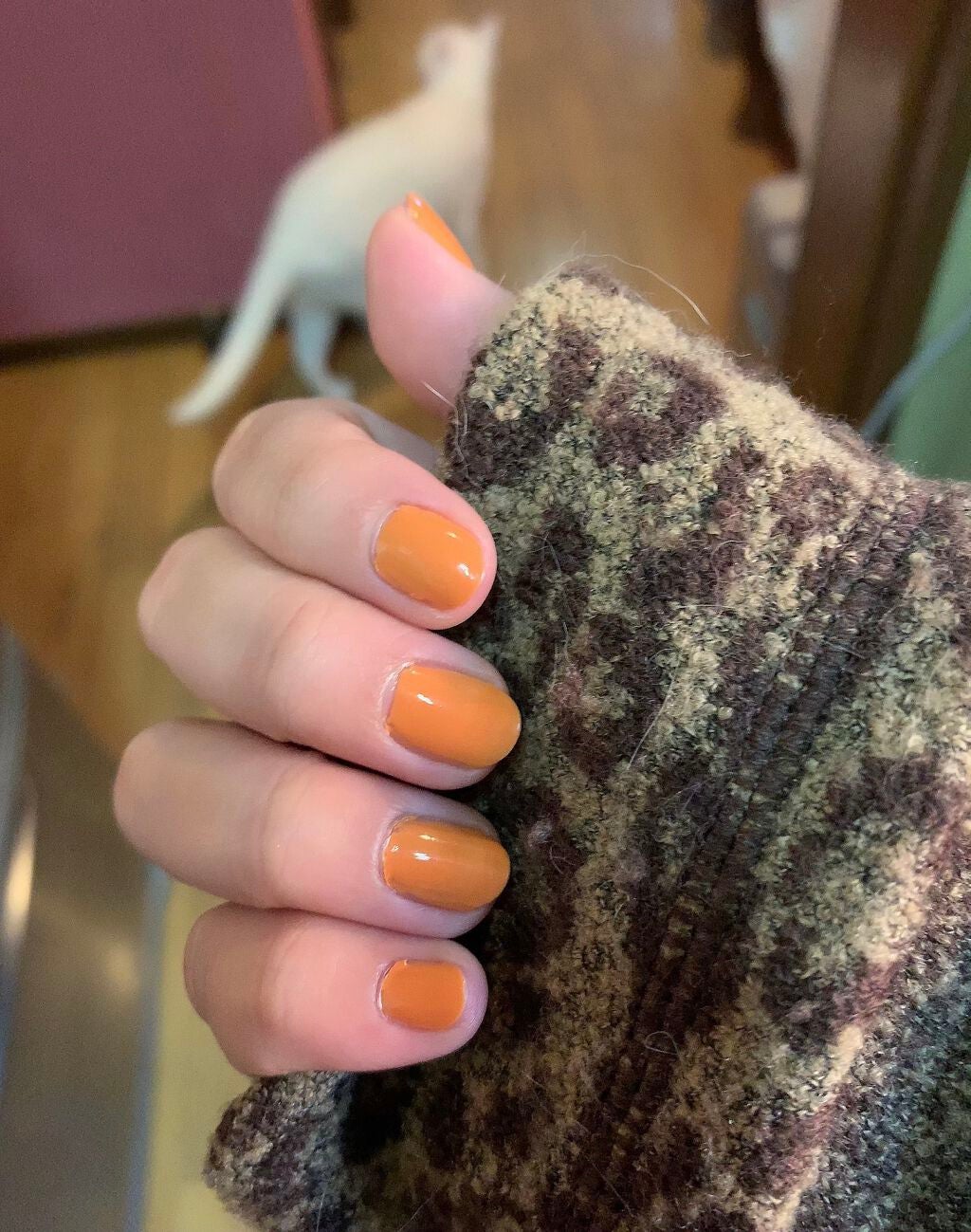 ネイルポリッシュ/THREE/マニキュアを使ったクチコミ(1枚目)