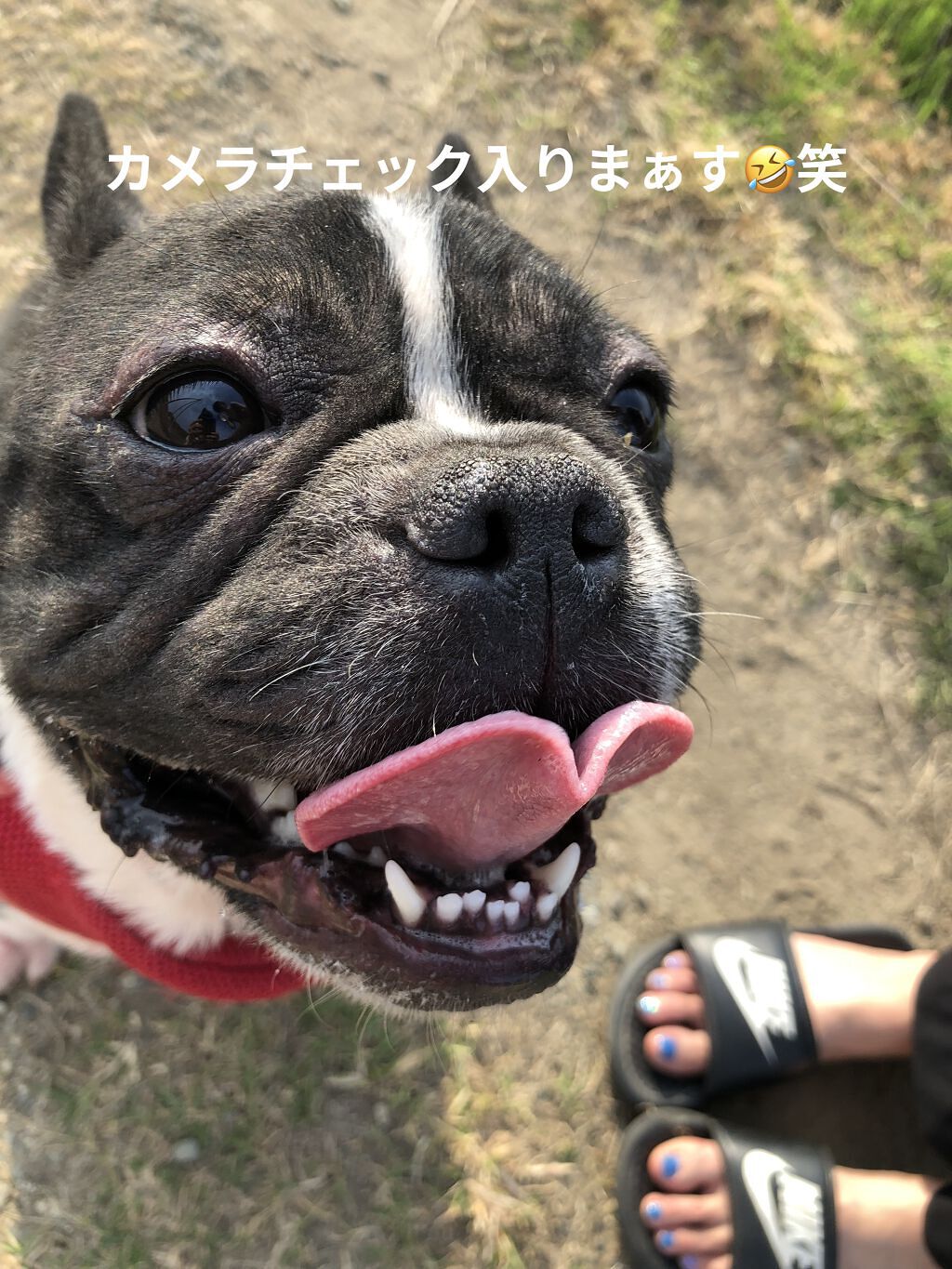 ジェルアングカラー/GelAng by RICOANG/ジェルネイルを使ったクチコミ（2枚目）