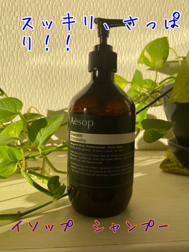 Aesop NT シャンプーのクチコミ「匂いと、自然派に惹かれて購入。
泡立ちはしっかりしてくれます。洗い流すと、きしむので、同じコン.....」（1枚目）