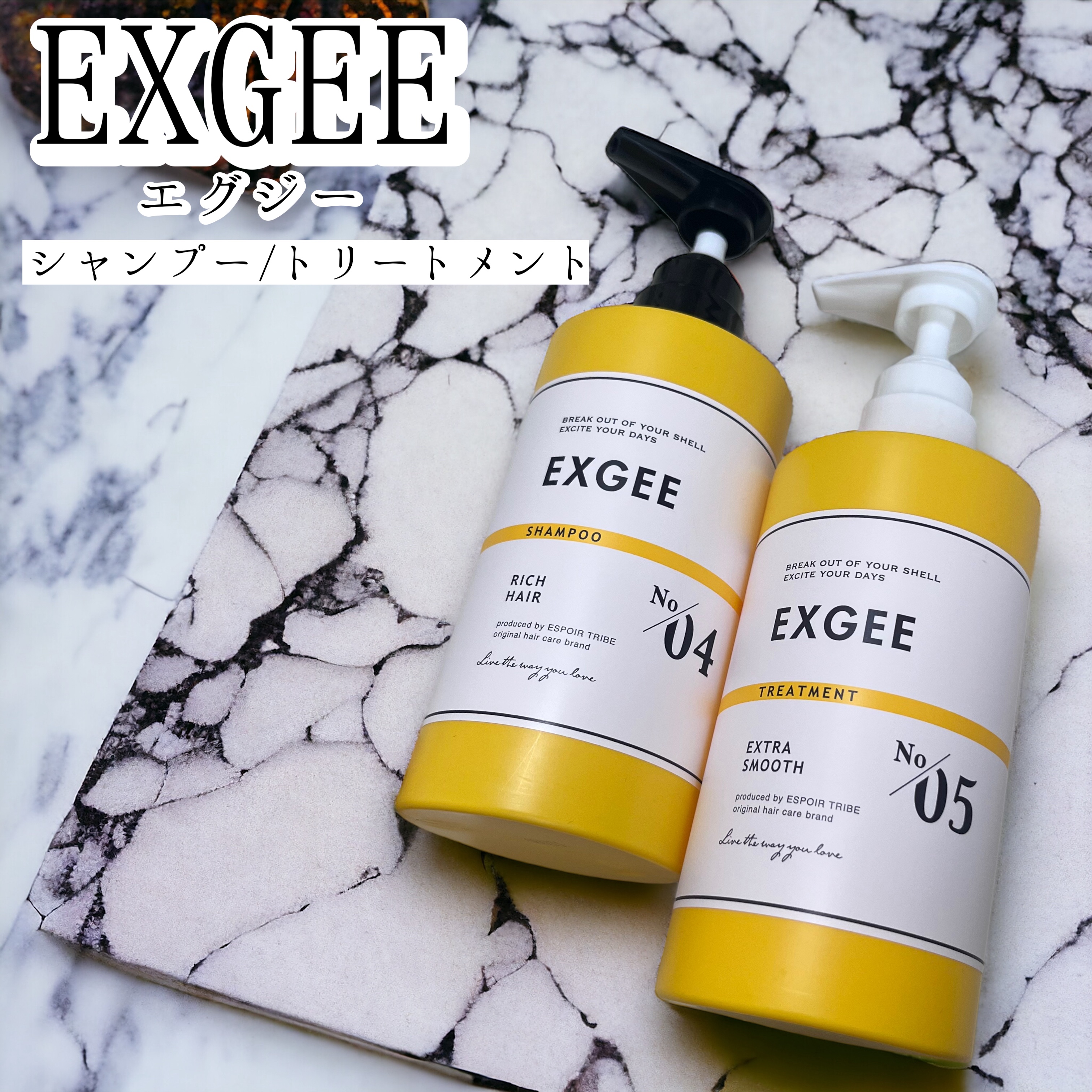 エグジー シャンプー／トリートメント/EXGEE/市販シャンプーを使ったクチコミ（1枚目）