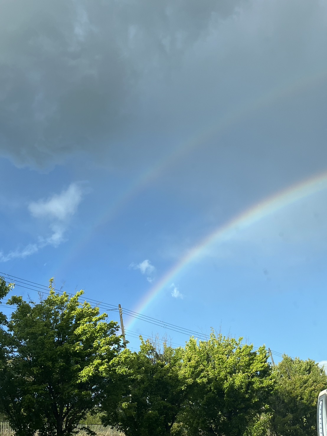 ホイップヘアカラー スイートブラウン/ビューティラボ/ヘアカラーを使ったクチコミ（3枚目）