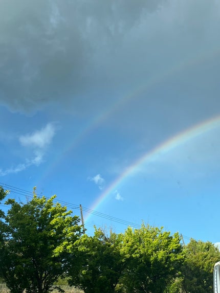 ホイップヘアカラー/ビューティラボ/ヘアカラーを使ったクチコミ(3枚目)