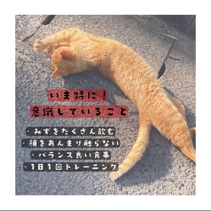 CICA クリーム/VT/フェイスクリームを使ったクチコミ(2枚目)