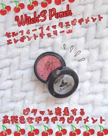 セルフィーフィックスピグメント/Witch's Pouch/単色アイシャドウを使ったクチコミ(1枚目)