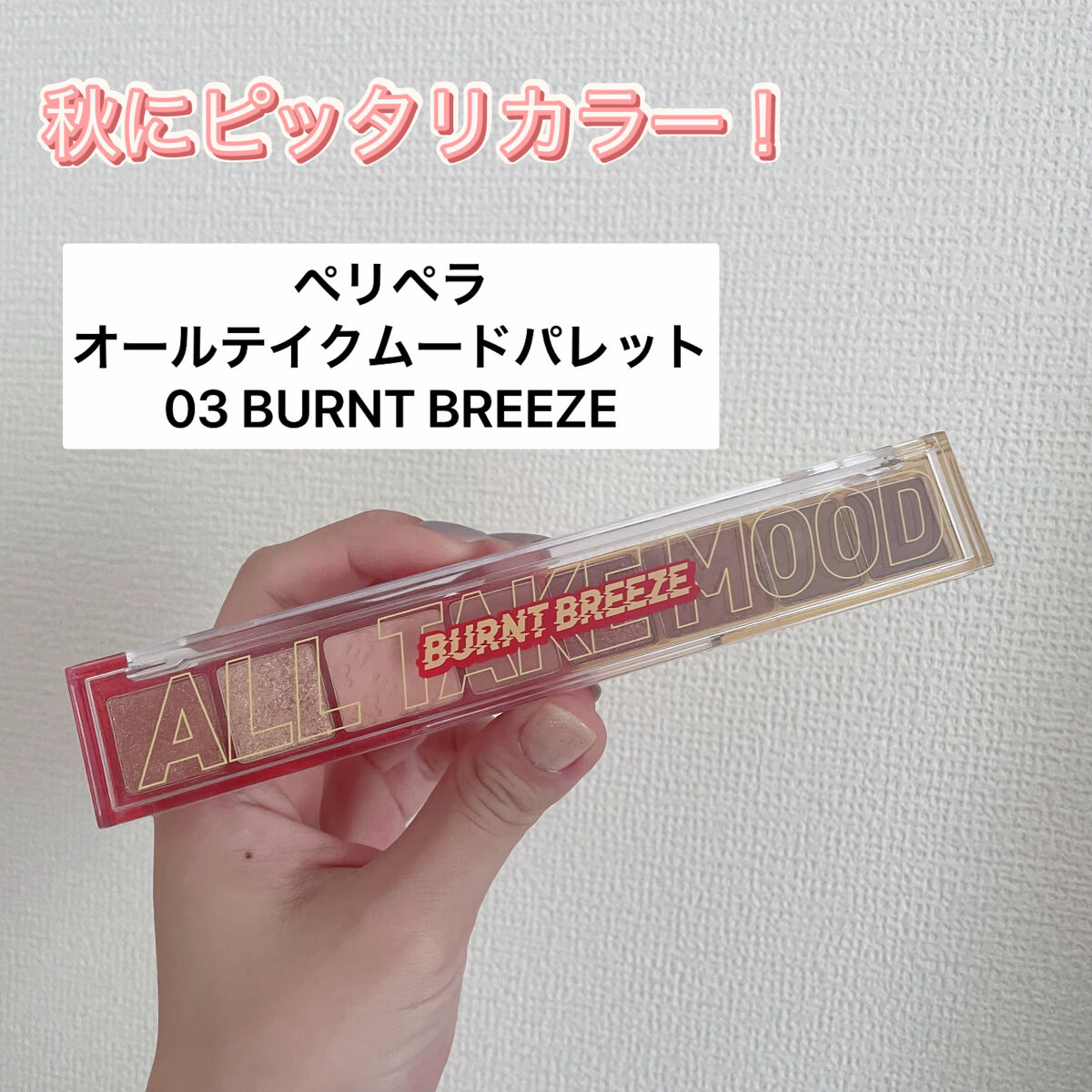 オール テイク ムード パレット(24AD) 【旧】03 BURNT BREEZE/PERIPERA/アイシャドウパレットを使ったクチコミ（1枚目）