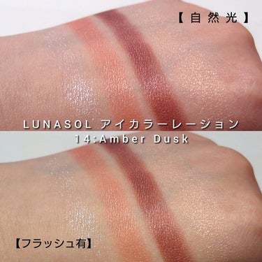 アイカラーレーション/LUNASOL/アイシャドウパレットを使ったクチコミ（6枚目）