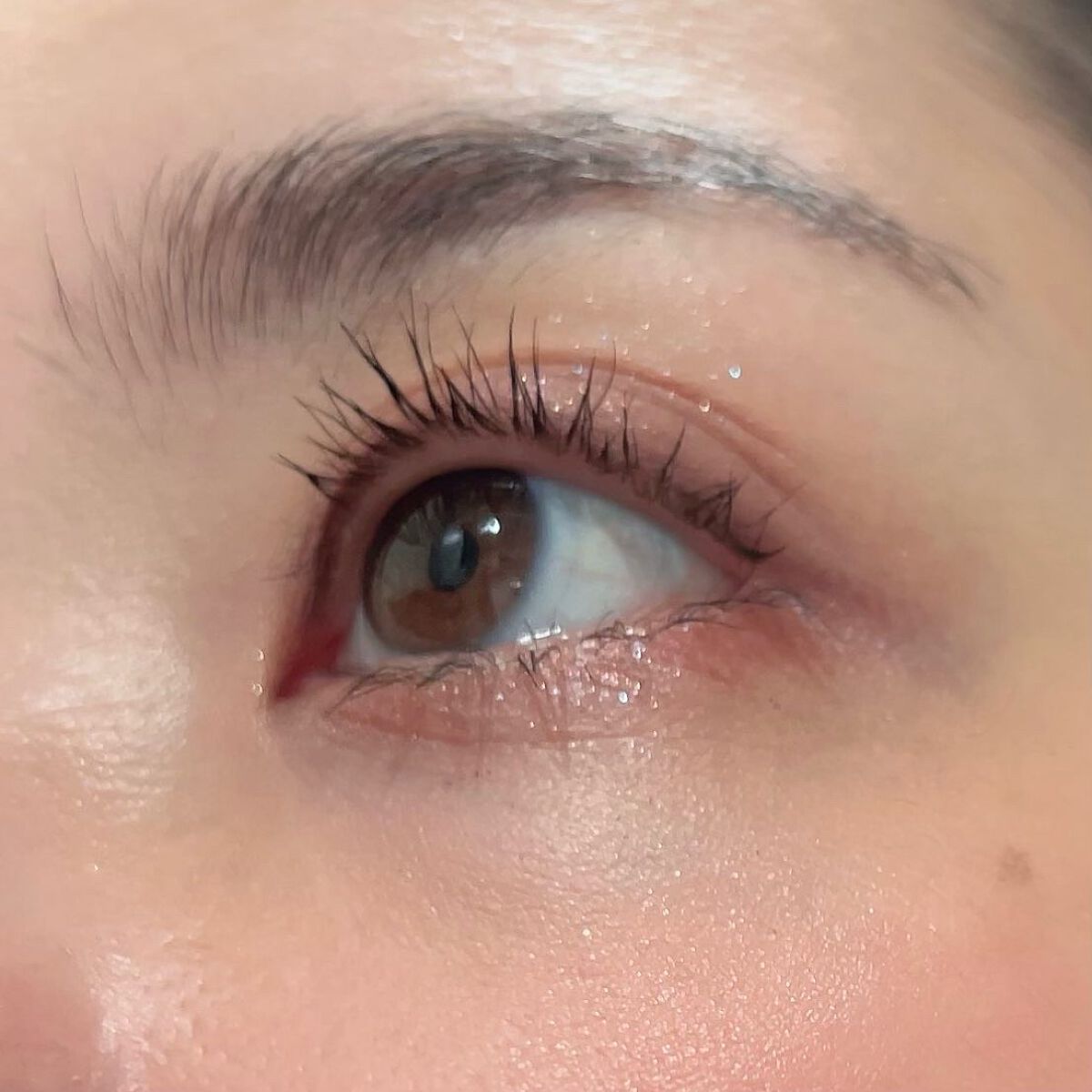 シャドーカスタマイズ/MAJOLICA MAJORCA/単色アイシャドウを使ったクチコミ(5枚目)