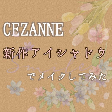 極細 アイライナーR/CEZANNE/リキッドアイライナーを使ったクチコミ（1枚目）