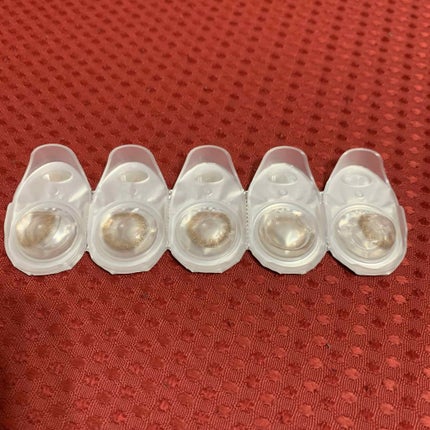 knock knock/SHOBIDO/カラーコンタクトレンズを使ったクチコミ(2枚目)