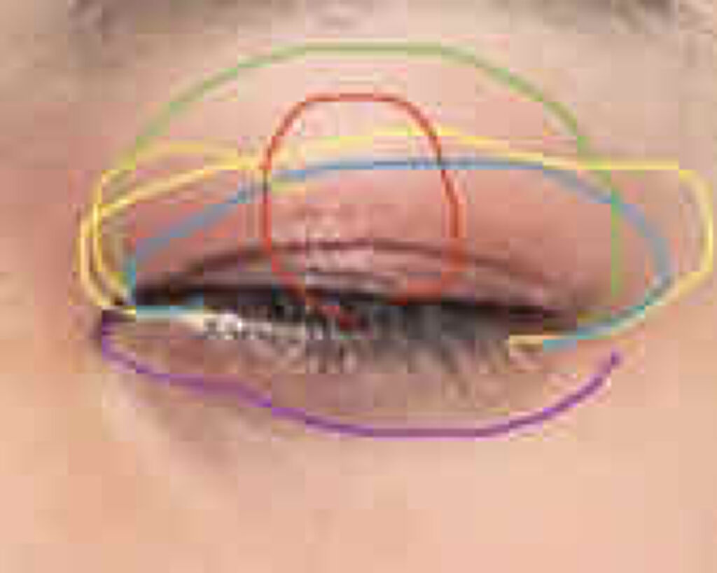 アリスドリームランドシリーズ 12色アイシャドウパレット（ZEESEA×大英博物館）/ZEESEA/アイシャドウパレットを使ったクチコミ（3枚目）