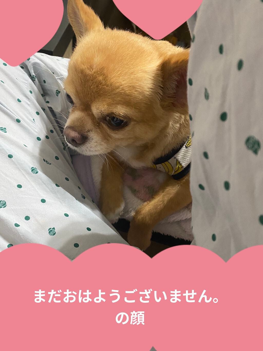 ミス ディオール オードゥ パルファン/Dior/香水(レディース)を使ったクチコミ(4枚目)