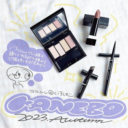 カラードシャドウ 04 Resonant Mood/KANEBO/アイシャドウパレットを使ったクチコミ(1枚目)