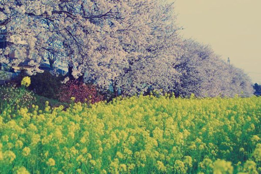 rrr_è022 on LIPS 「質問です!3月にデートするとしたら、どんな服装がいいですか、?..」(2枚目)