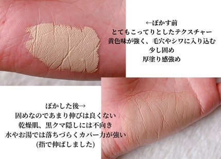 カバーパーフェクション チップコンシーラー/the SAEM/リキッドコンシーラーを使ったクチコミ(3枚目)