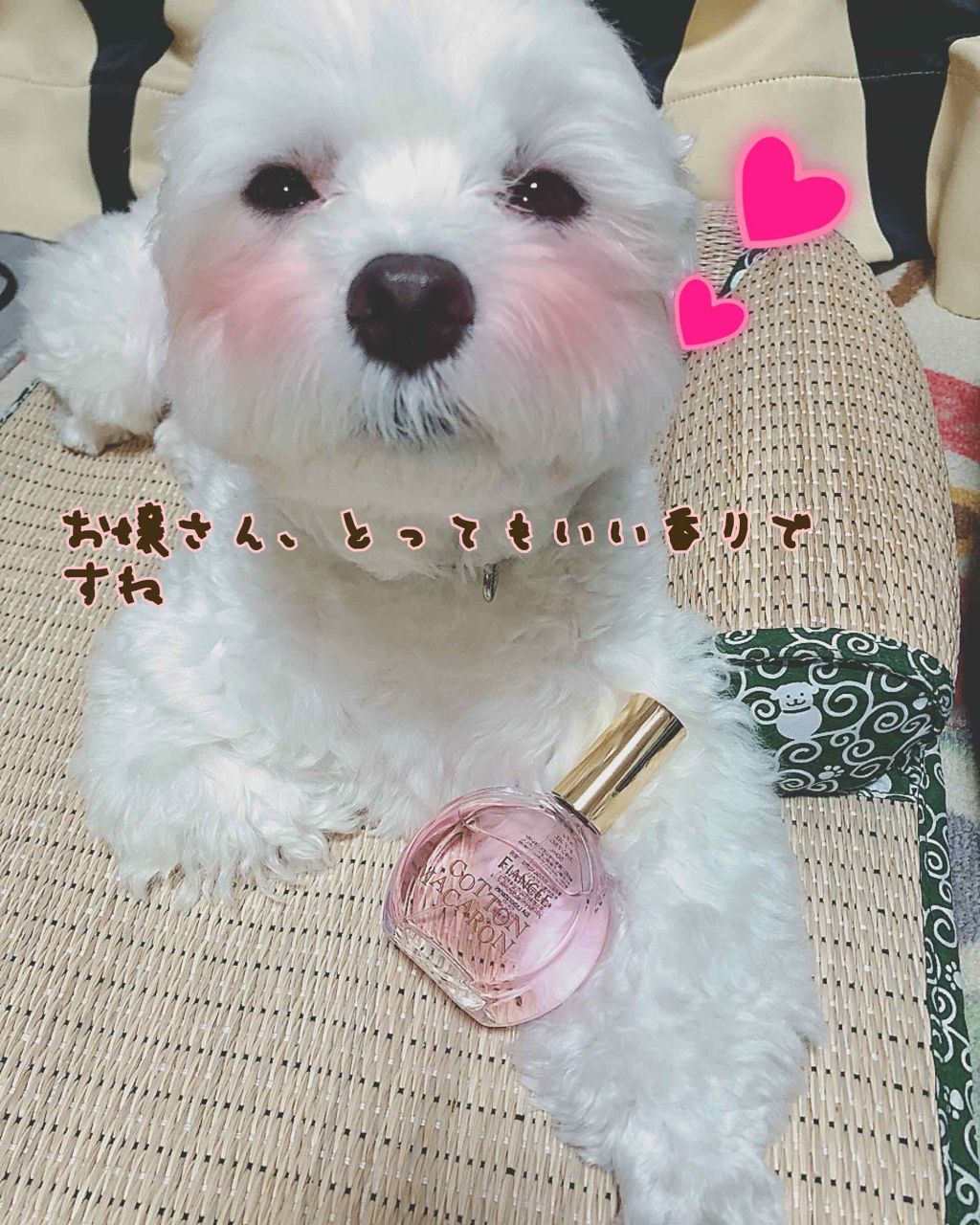 オーデコロン コットンマカロン/フィアンセ/香水(レディース)を使ったクチコミ(1枚目)