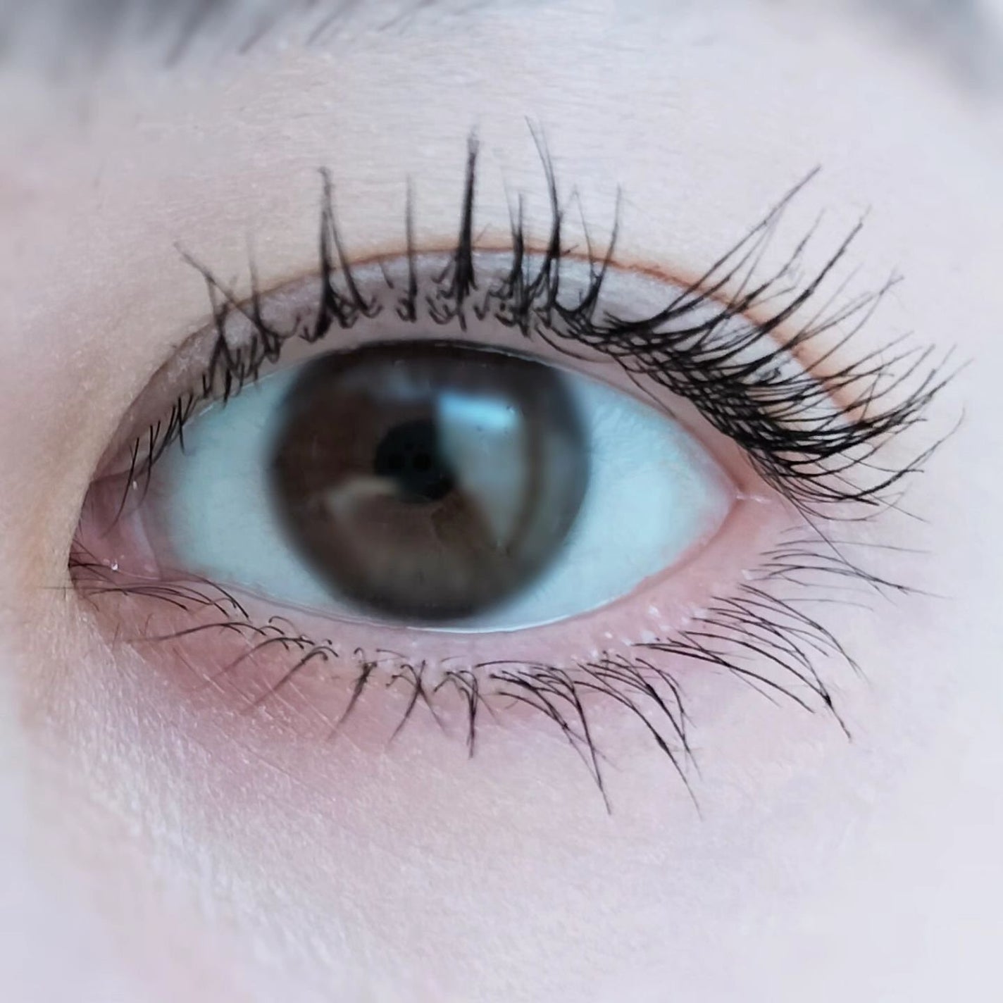 ラッシュニスタ N/MAYBELLINE NEW YORK/マスカラを使ったクチコミ(5枚目)