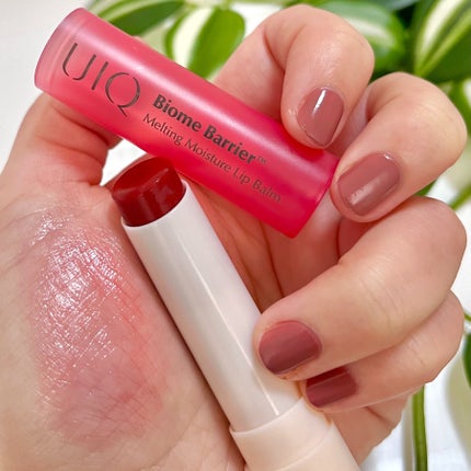 バイオームバリアメルティングモイスチャーリップバーム/UIQ/リップバームを使ったクチコミ(6枚目)