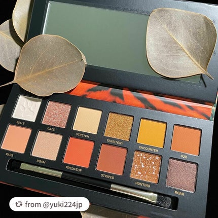 エクスプローラ12色 動物アイシャドウパレット/PERFECT DIARY/アイシャドウパレットを使ったクチコミ(4枚目)