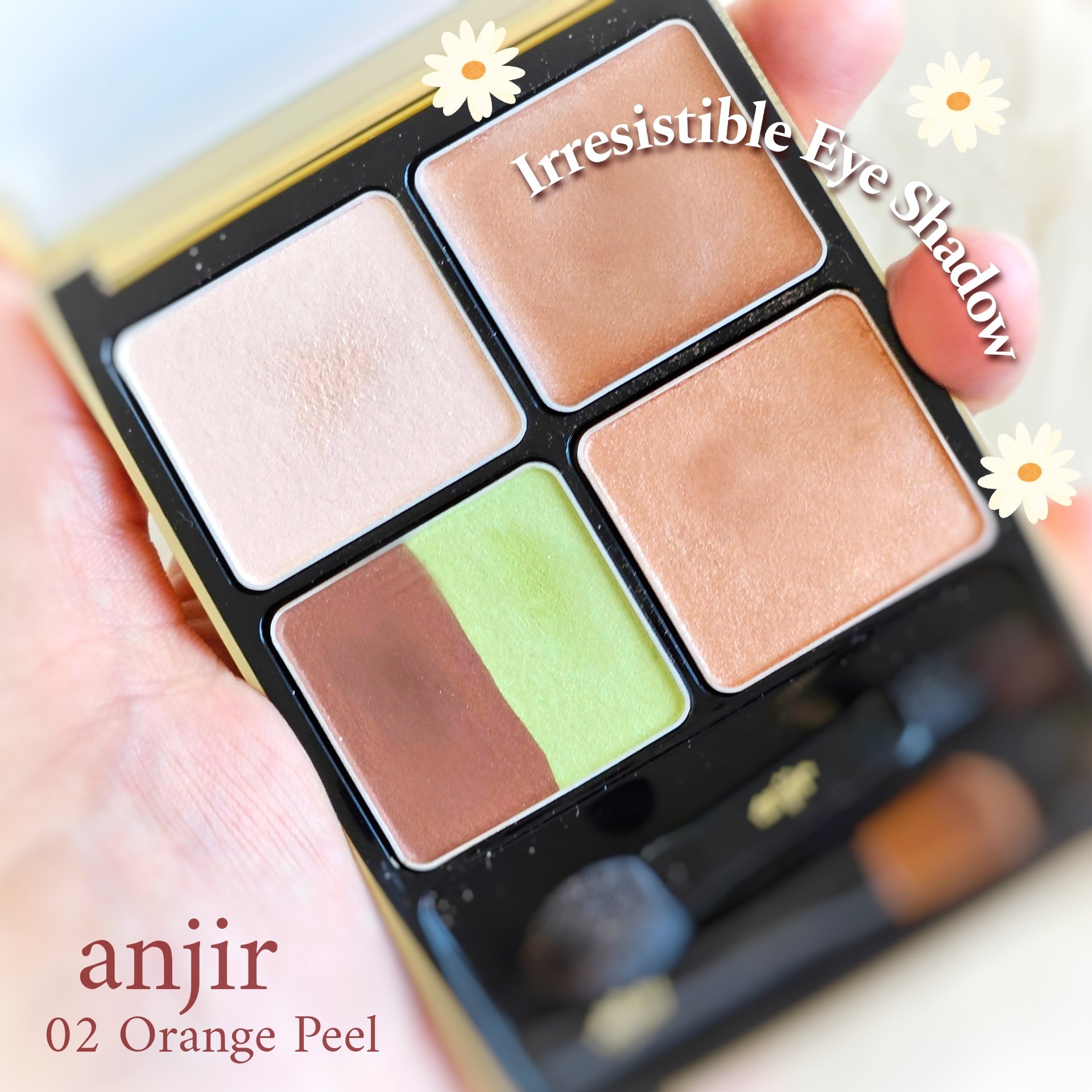イレジスタブル アイシャドウ/anjir/アイシャドウパレットを使ったクチコミ（1枚目）