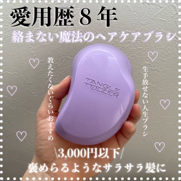 コンパクトスタイラー/TANGLE TEEZER/ヘアブラシを使ったクチコミ（1枚目）