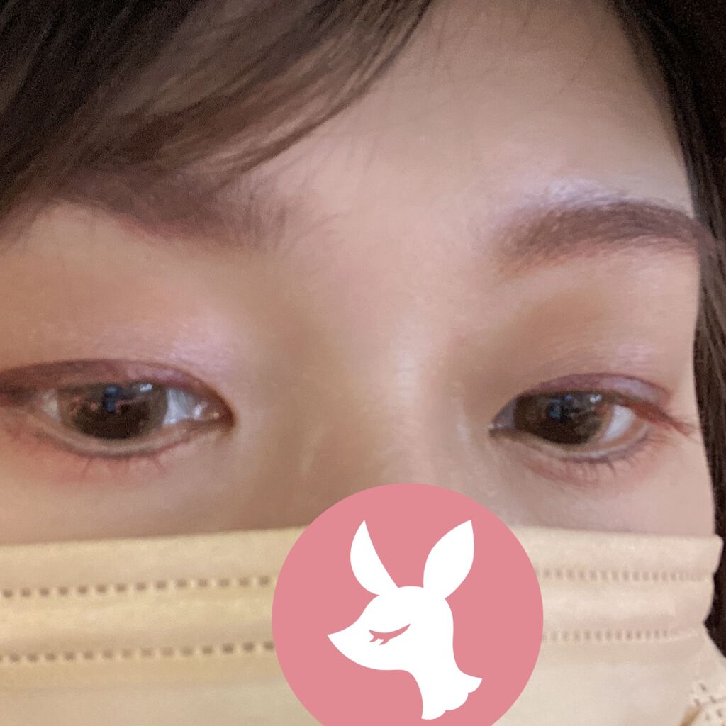 アイニュアンス/キャンメイク/アイシャドウパレットを使ったクチコミ（2枚目）