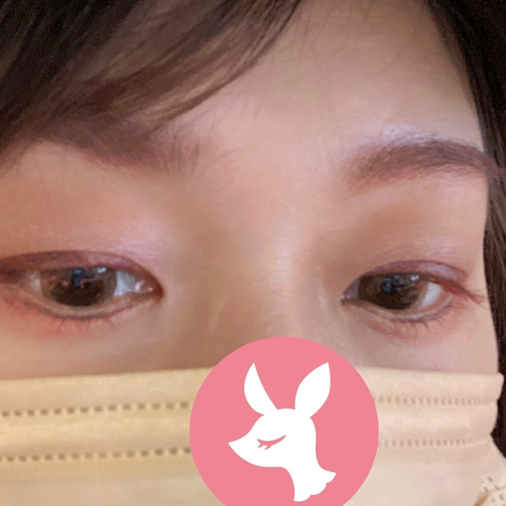 アイニュアンス/キャンメイク/アイシャドウパレットを使ったクチコミ(2枚目)