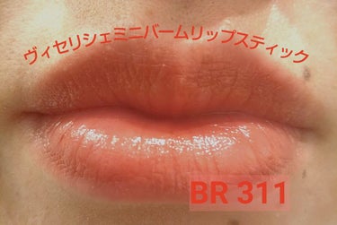 ミニバーム リップスティック BR311 レッドブラウン/Visée/口紅を使ったクチコミ（1枚目）