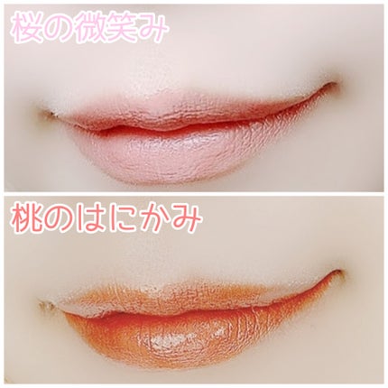 ネンマクフェイク ルージュ/Visée/口紅を使ったクチコミ(5枚目)