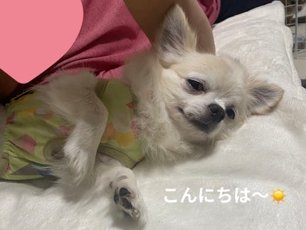 カラフルネイルズ/キャンメイク/マニキュアを使ったクチコミ(6枚目)