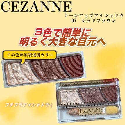 トーンアップアイシャドウ/CEZANNE/アイシャドウパレットを使ったクチコミ(1枚目)
