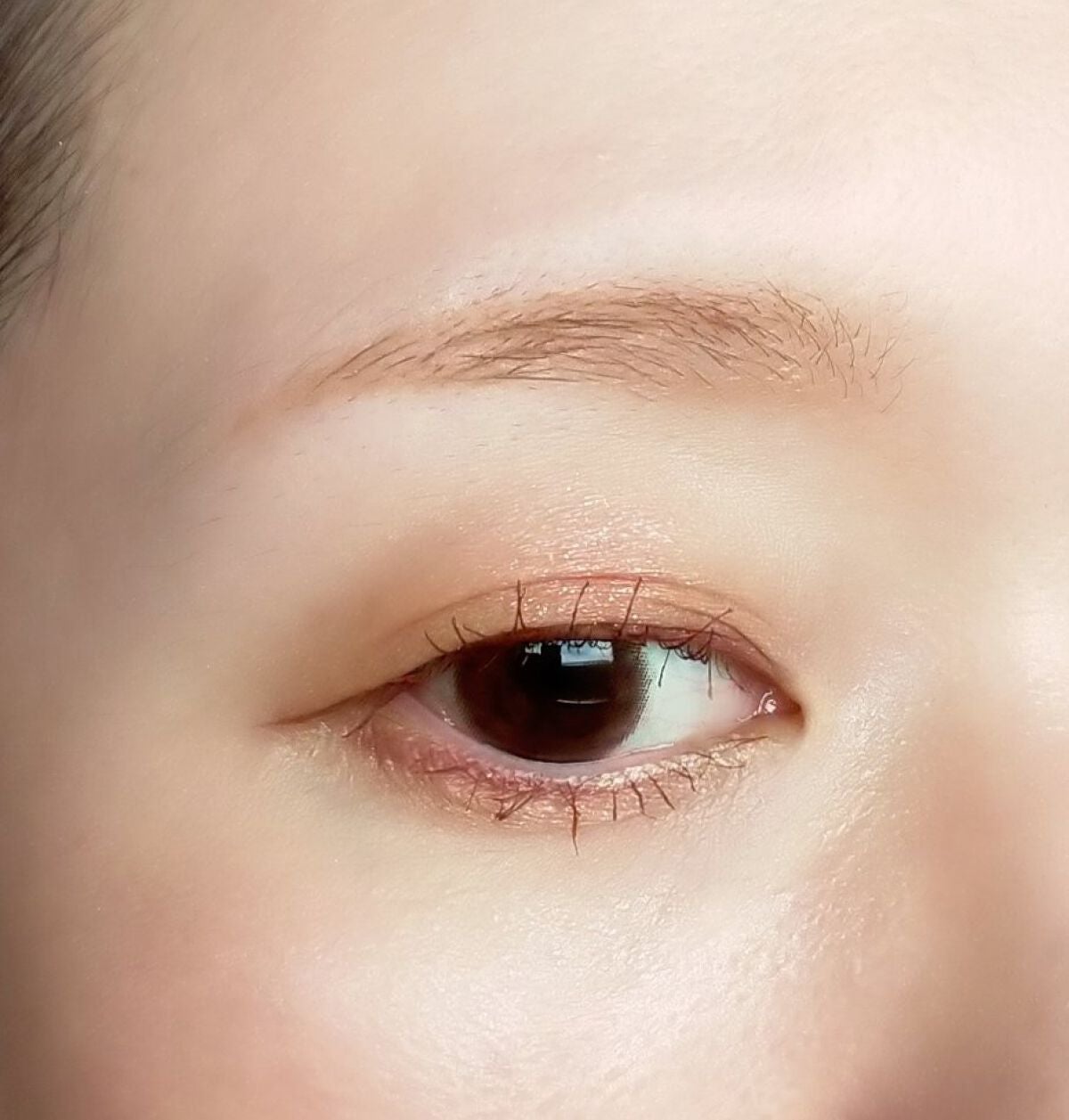 パノラマデザイン アイパレット/Visée/アイシャドウパレットを使ったクチコミ(2枚目)