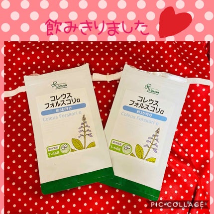 èªå·±ç޹ä»/éè«/ãã®ä»ã䜿ã£ãã¯ãã³ãïŒ1æç®ïŒ