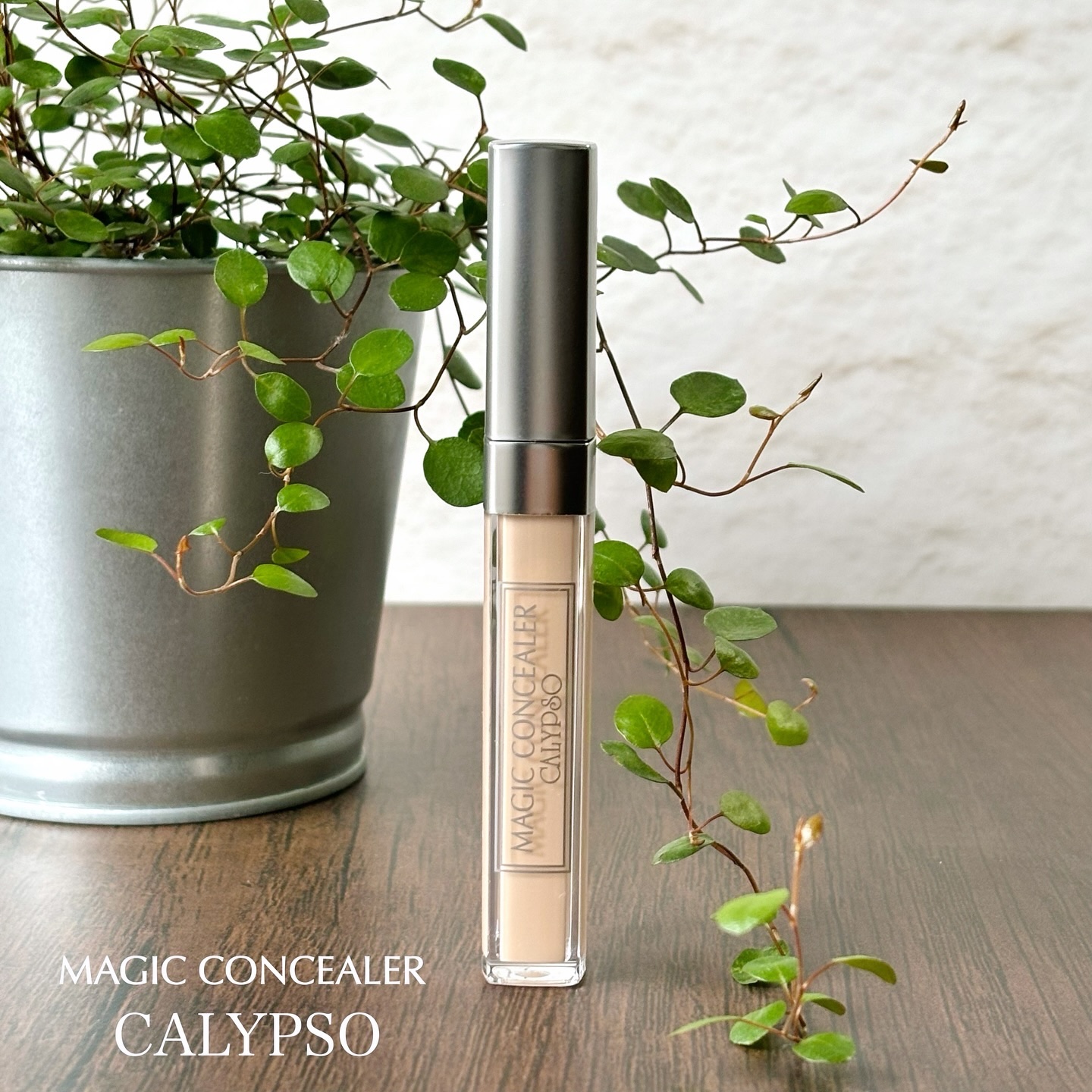 カリプソ マジックコンシーラー グロッシーベージュ/カリプソ/コンシーラーを使ったクチコミ（1枚目）