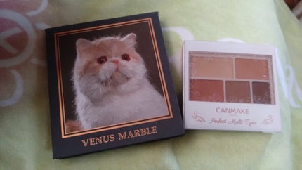 パーフェクトマルチアイズ/キャンメイク/アイシャドウパレットを使ったクチコミ(3枚目)