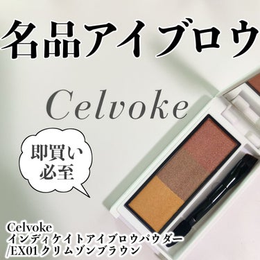 インディケイト アイブロウパウダー/Celvoke/パウダーアイブロウを使ったクチコミ（1枚目）