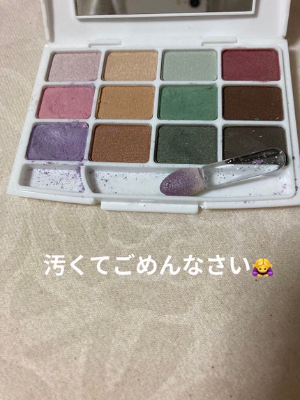 12色アイシャドウパレット/LOUJENE/アイシャドウパレットを使ったクチコミ(2枚目)