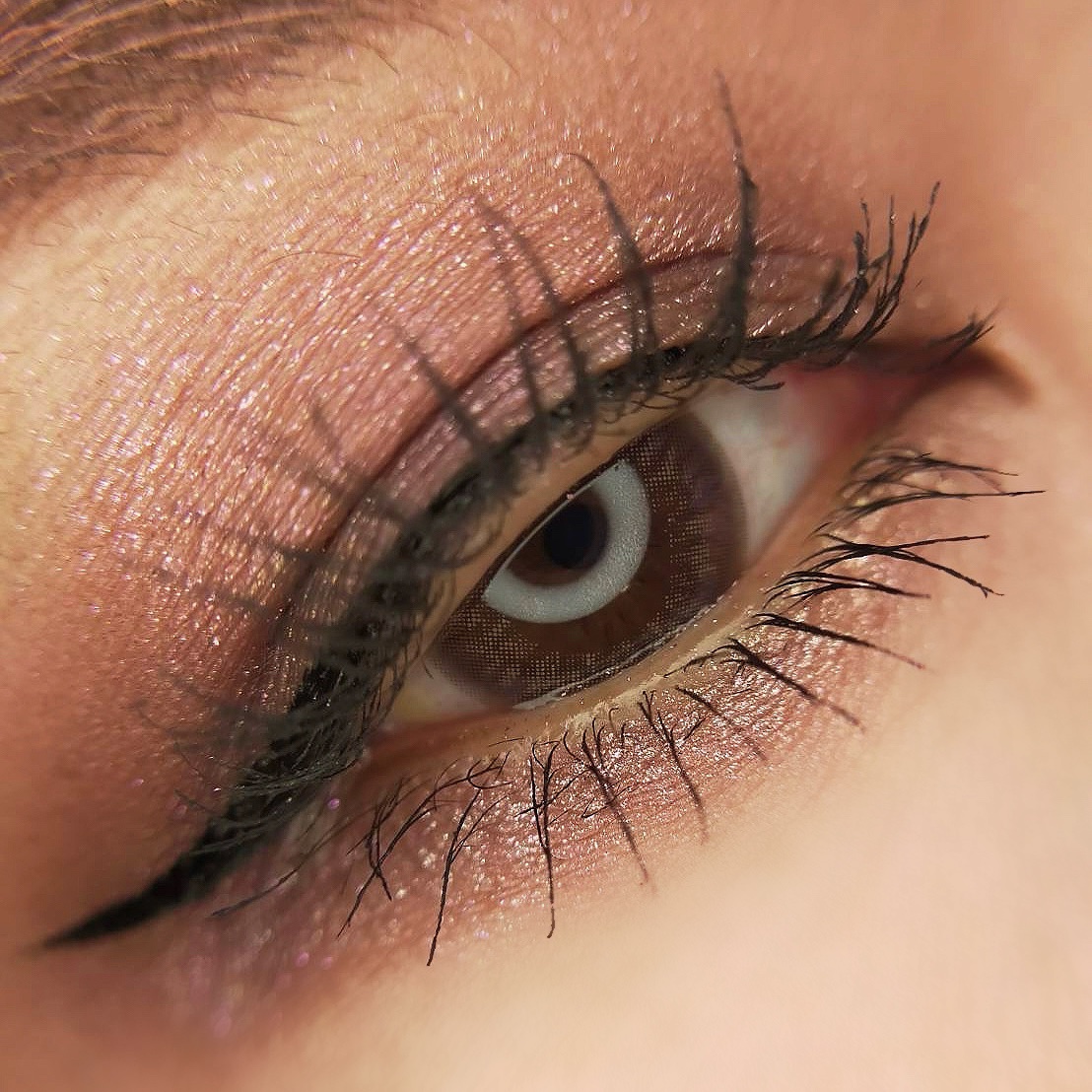 トレジャー アイシャドウ パレット ×6/M・A・C/アイシャドウパレットを使ったクチコミ（2枚目）