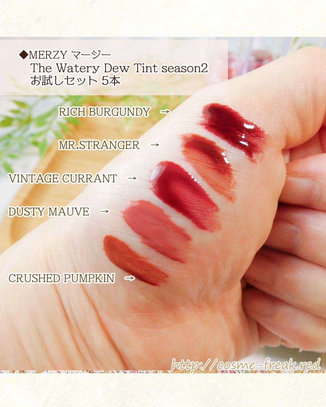 ザ ウォータリーデューティント/MERZY/リップティントを使ったクチコミ(3枚目)