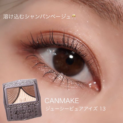 ジューシーピュアアイズ/キャンメイク/アイシャドウパレットを使ったクチコミ(1枚目)