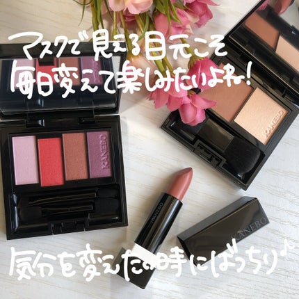 レイヤードカラーズアイシャドウ/KANEBO/アイシャドウパレットを使ったクチコミ(6枚目)