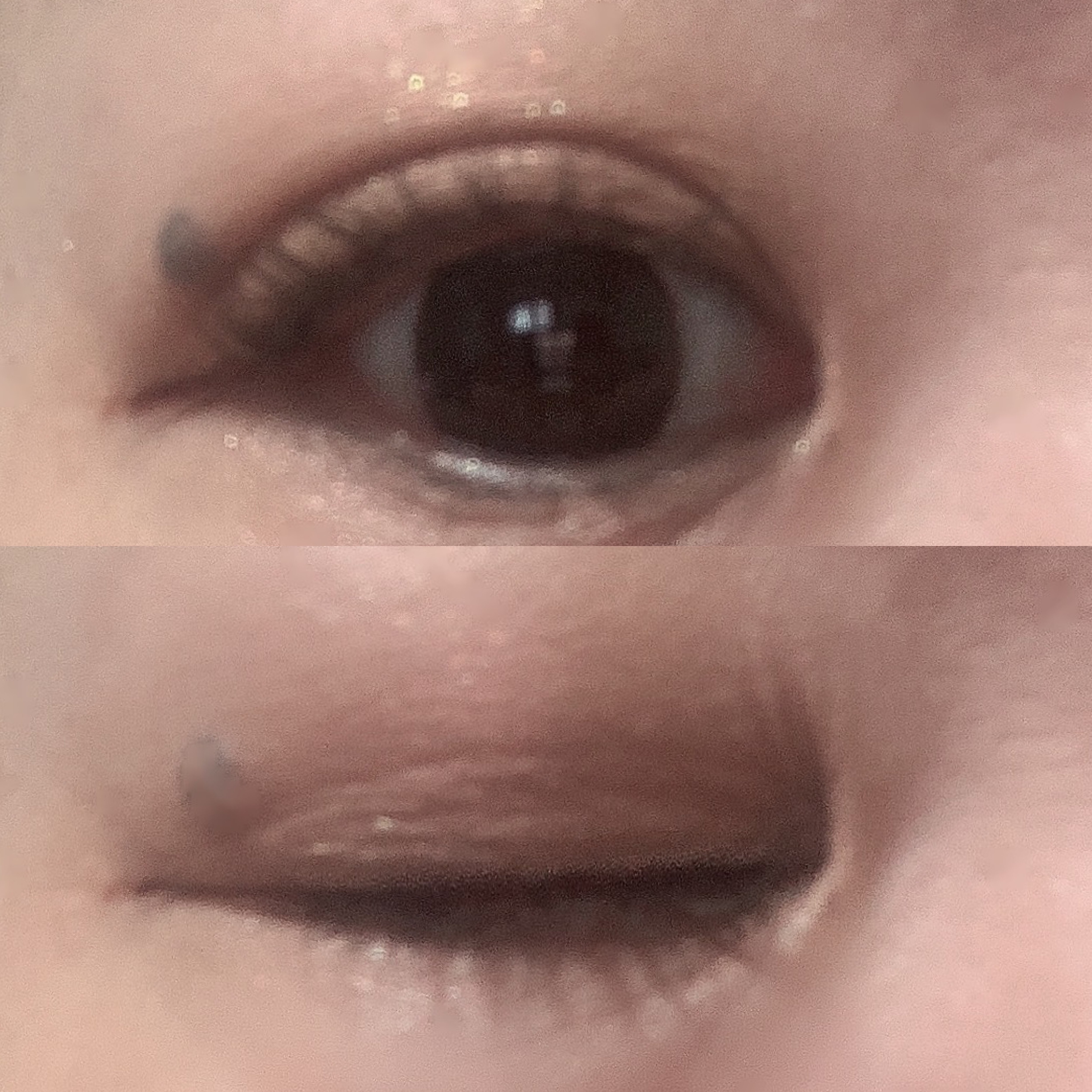 gemini mascara ma-01 ブラウン/la peau de gem./マスカラを使ったクチコミ（2枚目）