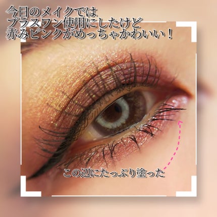 エテュセ アイエディション(グリッターライナー)/ettusais/リキッドアイライナーを使ったクチコミ(6枚目)