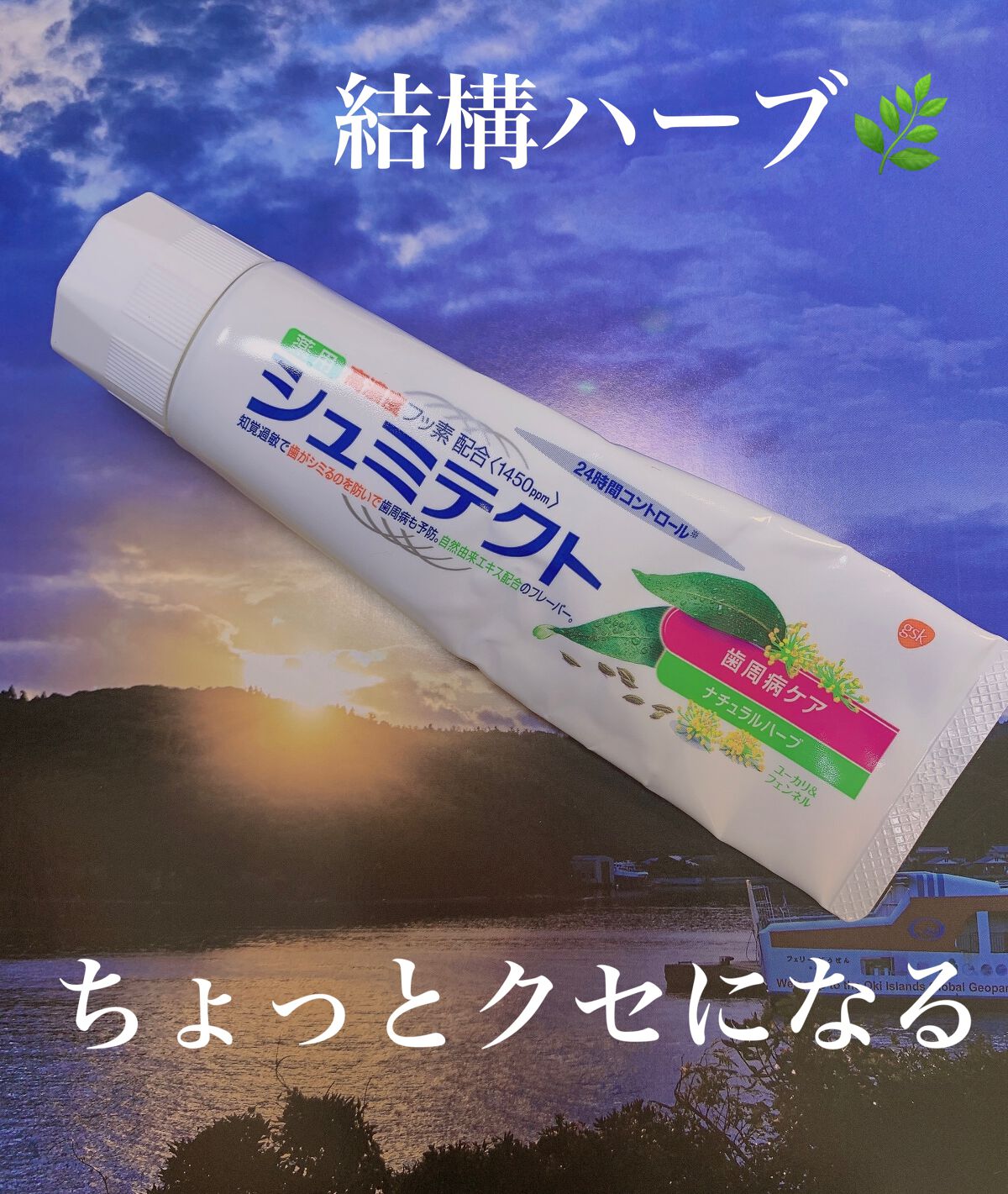 シュミテクト 歯周病ケア ナチュラルハーブ/シュミテクト/歯磨き粉を使ったクチコミ(1枚目)