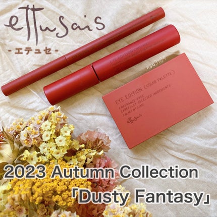 エテュセ アイエディション(マスカラ)/ettusais/マスカラを使ったクチコミ(1枚目)