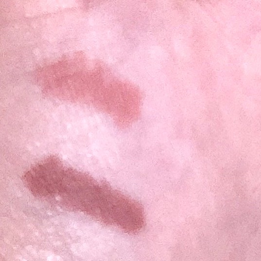 ベルベットリップペンシル/CLIO/リップライナーを使ったクチコミ（2枚目）