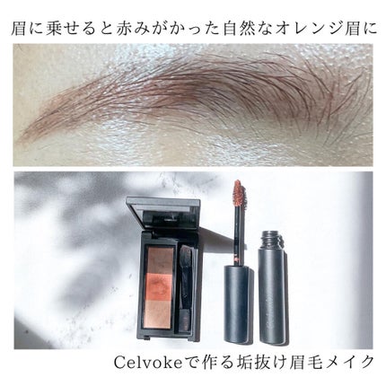 セルヴォーク インディケイトアイブロウマスカラ C/Celvoke/眉マスカラを使ったクチコミ(5枚目)