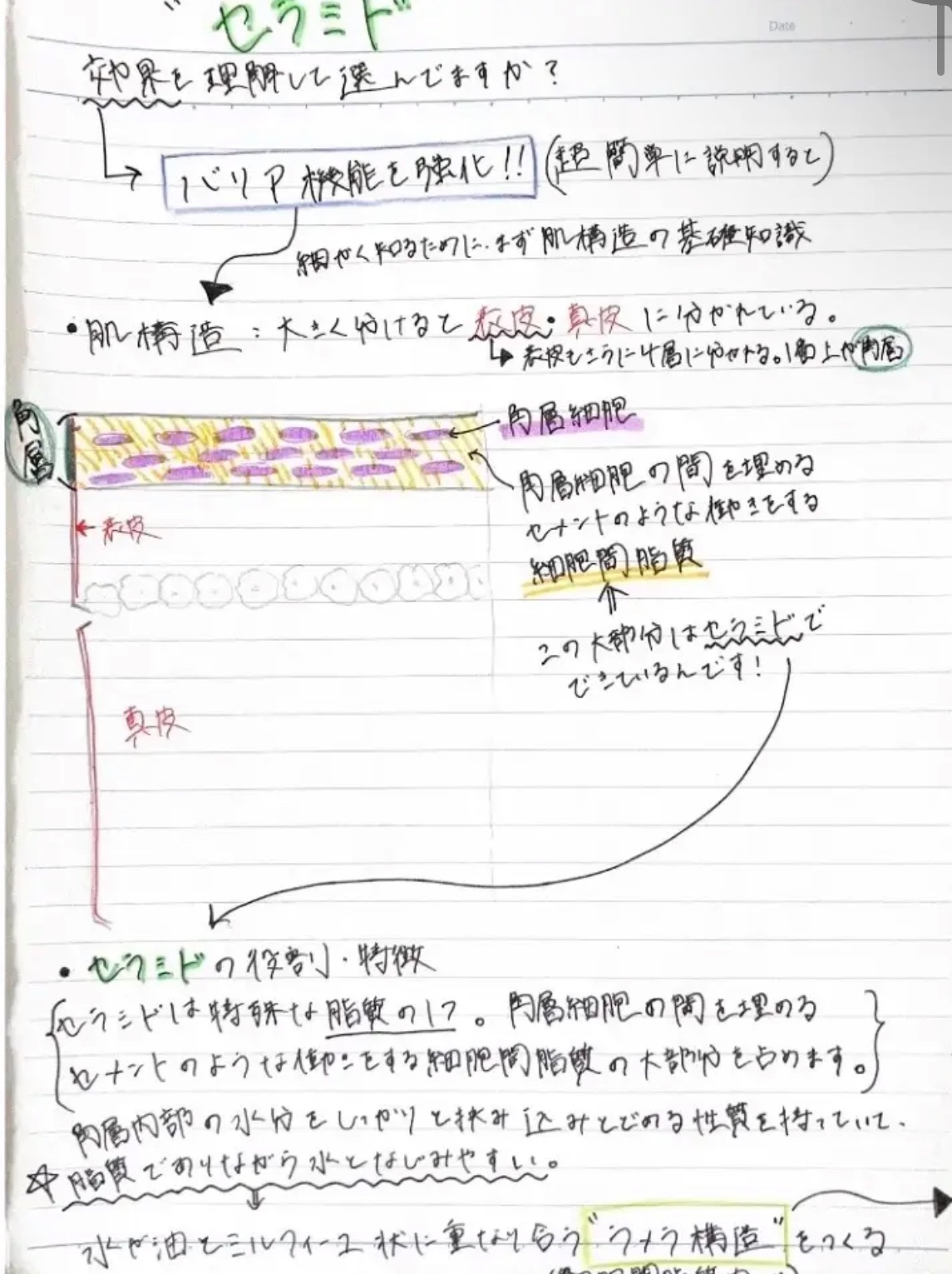 リポソーム アドバンスト　リペアセラム/DECORTÉ/美容液を使ったクチコミ（1枚目）